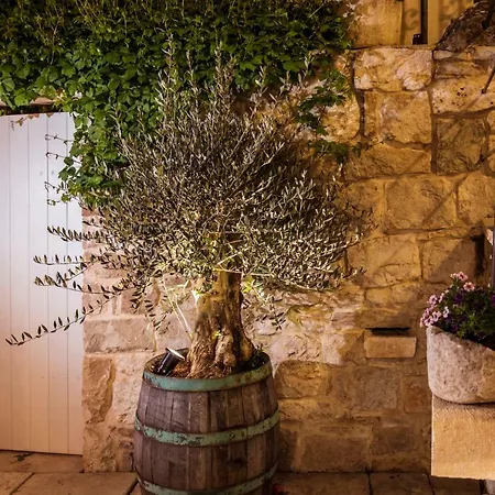 Апартаменты Pauletta *