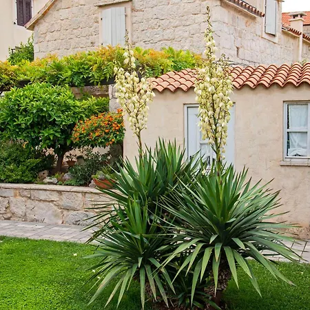 Pauletta * 스플리트