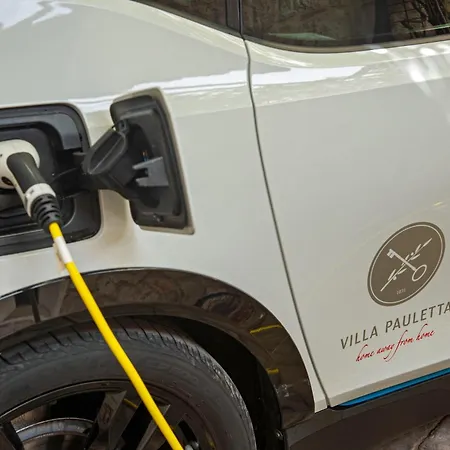 Pauletta 스플리트