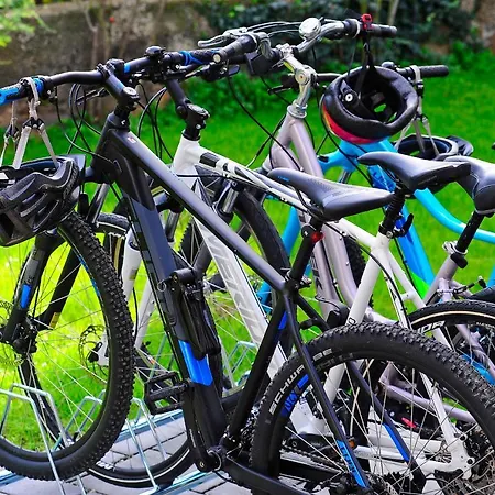 Pauletta * 스플리트